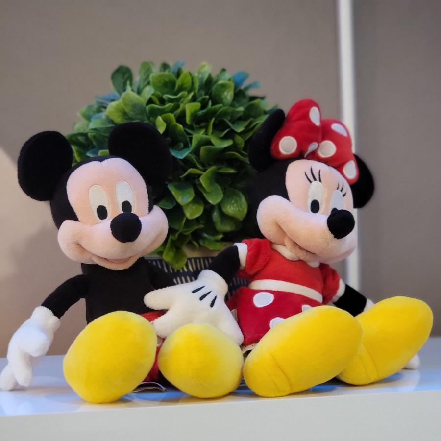 Winterfield At Disney 9350 Kissimmee Exteriör bild